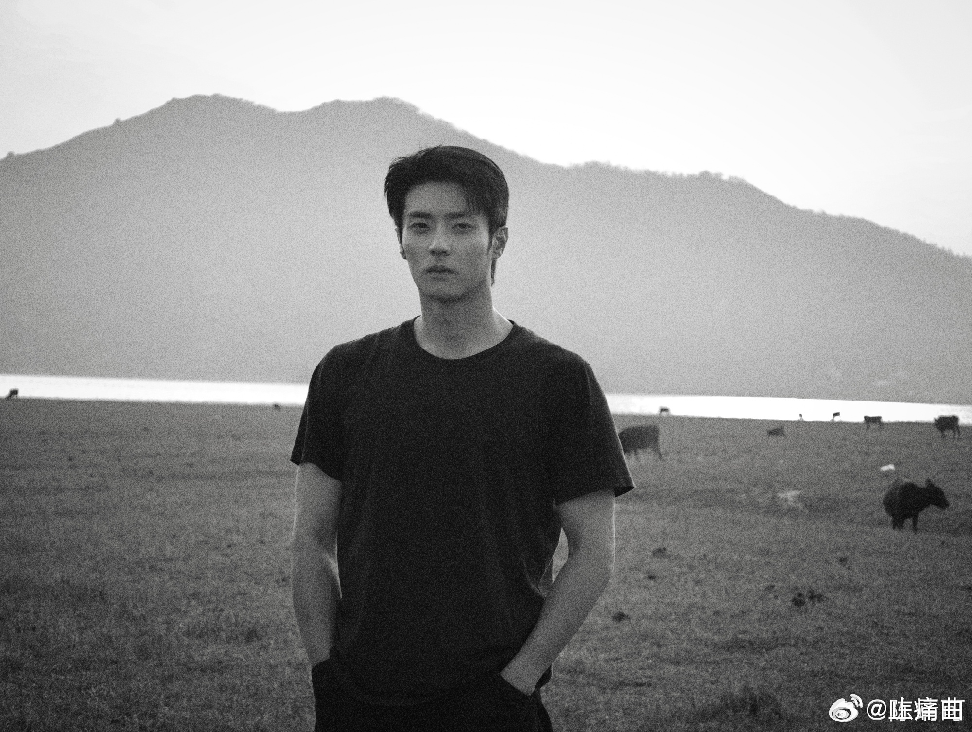 陈靖可突袭直播真的被这波互动戳中了！陈靖可突袭直播，粉丝随口提9个数字的要求，他