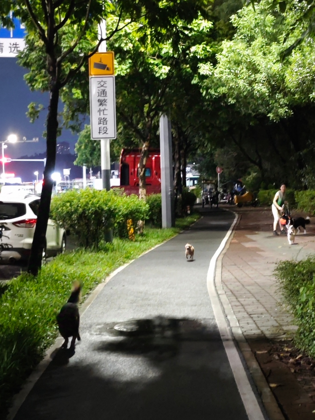 遭恶犬袭击4岁男童或需全身换血  我自己也养狗，但一定要牵绳啊...之前遇到一个