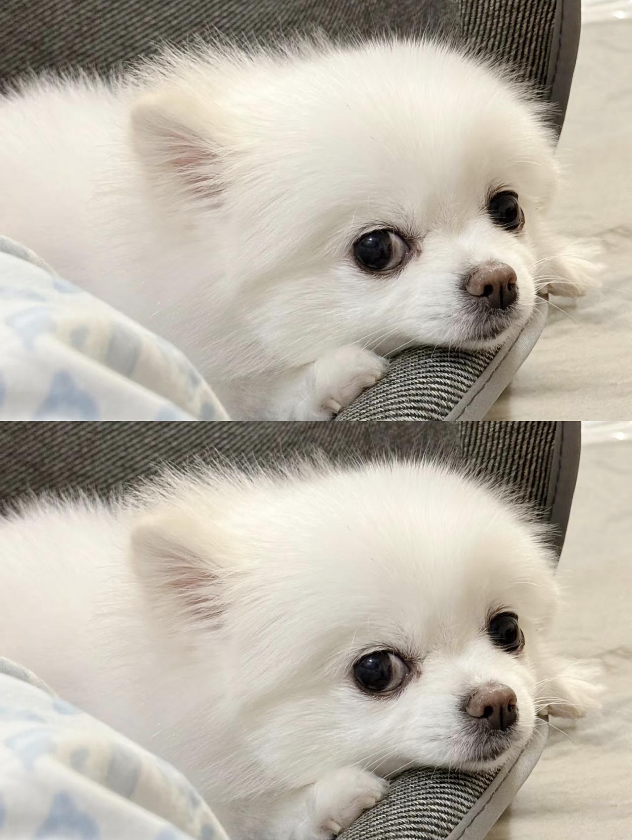 乖不乖[灵光一闪]