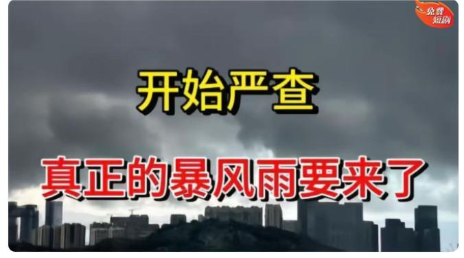 中央出手进行严查严打
冤假错案必须依法进行严查，对制造冤假错案的人必须依法进行严