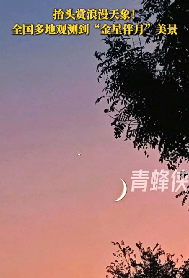 星月相依！金星伴月现身夜空，这一幕治愈无数网友