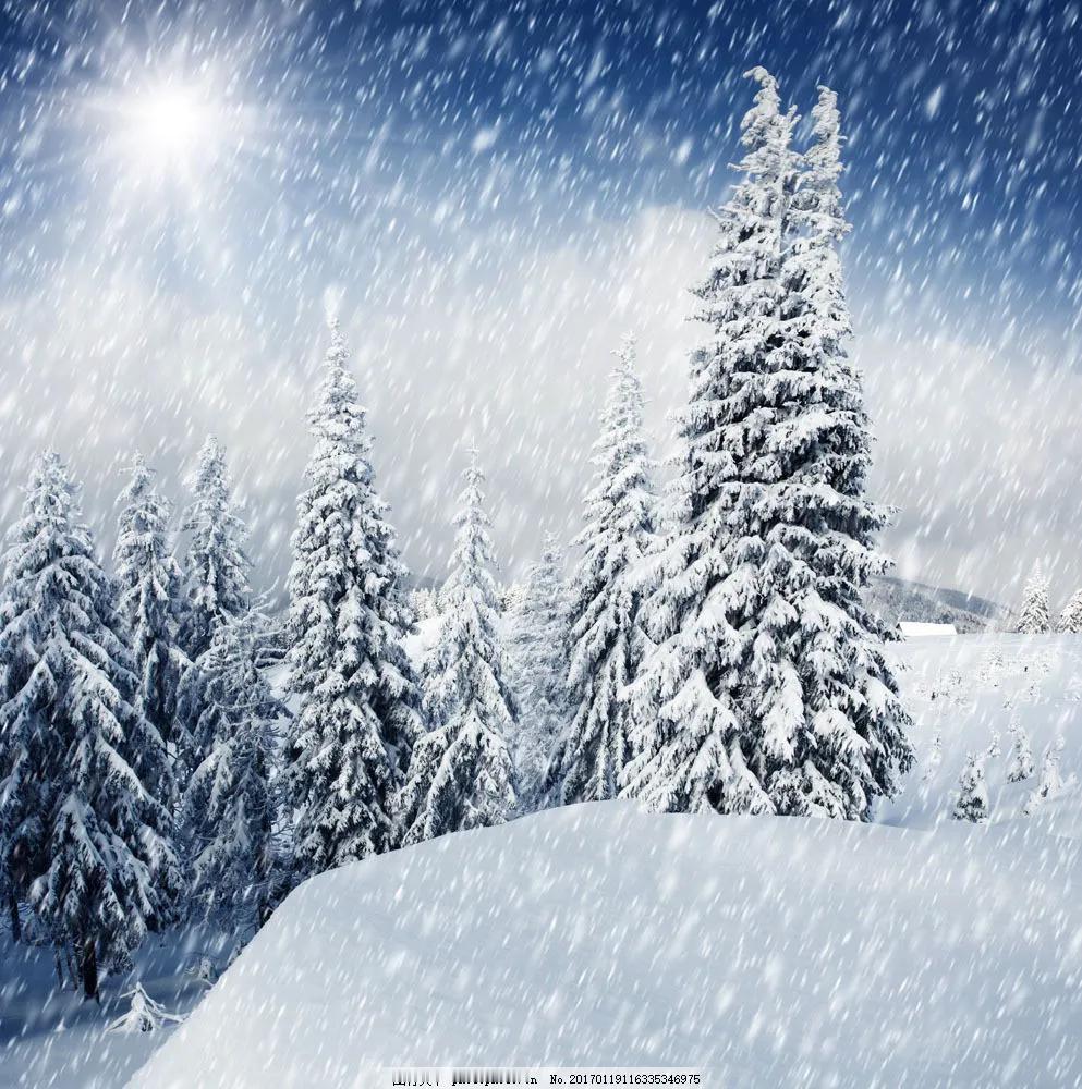 《大雪颂》
 大雪纷飞漫九天，银装素裹扮山川。
千枝琼蕊迎风舞，万朵梨花伴月眠。