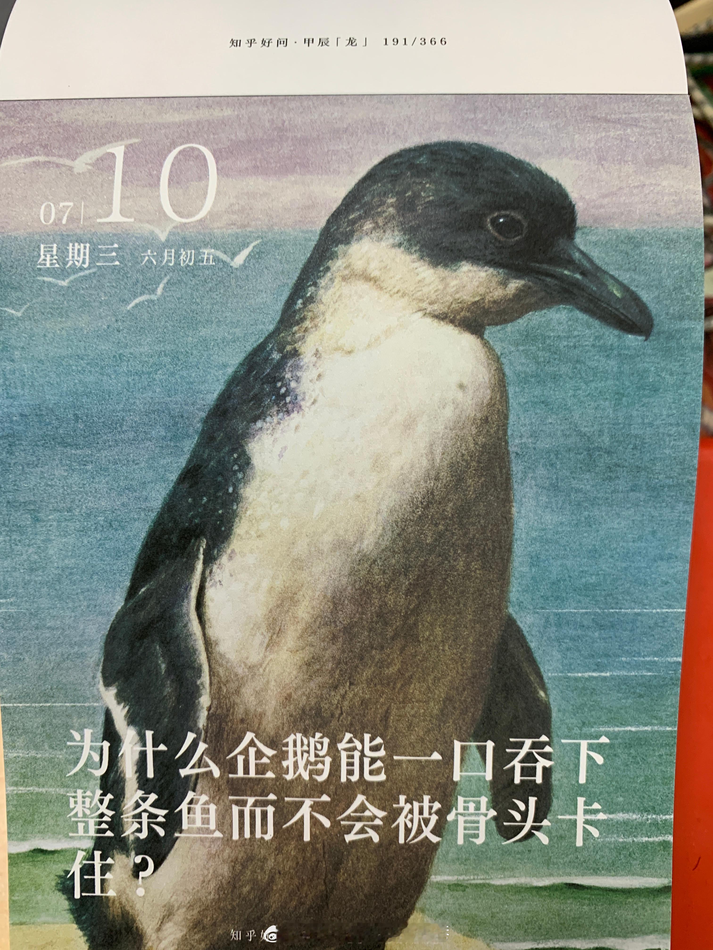 早安朋友们～ ​​​