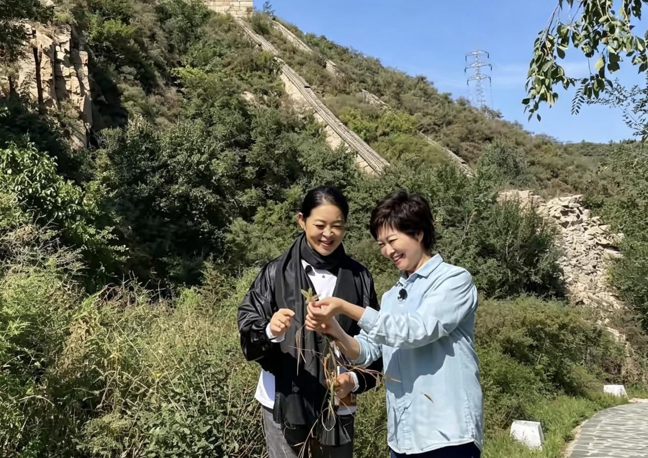 特别感激倪萍老师将给敬一丹老师的信公开发表，因为：她让我们看到了敬一丹的另一面，