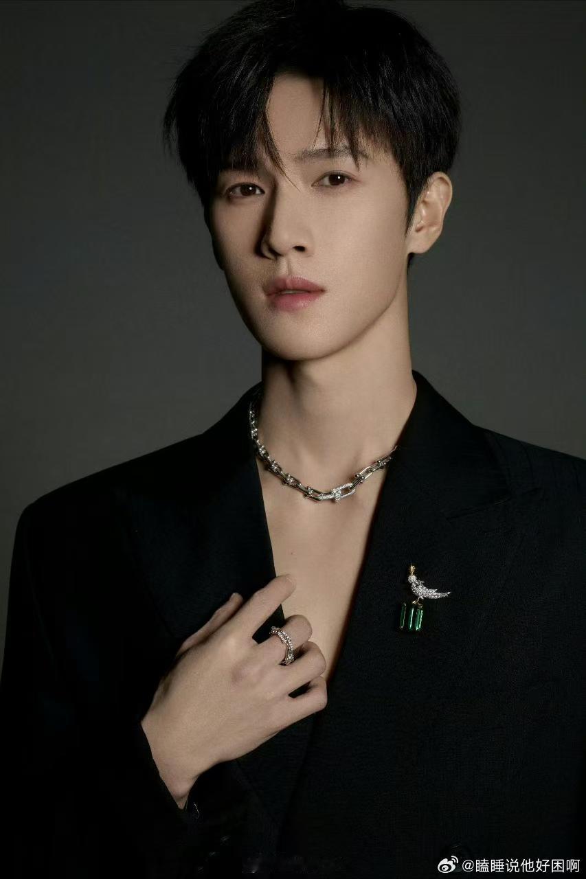 李昀锐allblack西装蒂芙尼先生～蒂芙尼让·史隆伯杰高级珠宝系列(Jean 