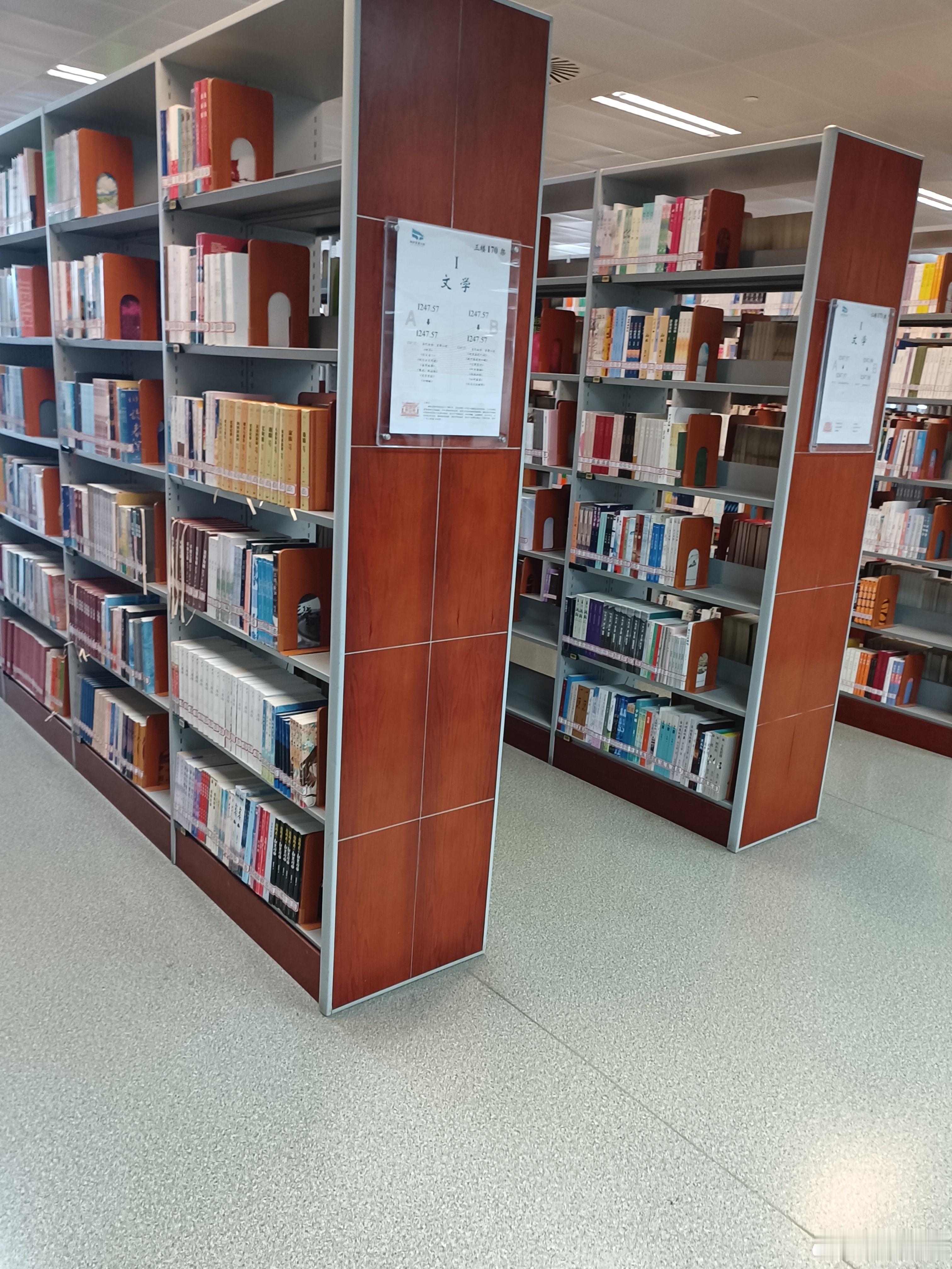 球迷朋友新年好！这样悠闲的时光，姚曳不习惯去努力融入喧嚣，最适合去图书馆借阅几本