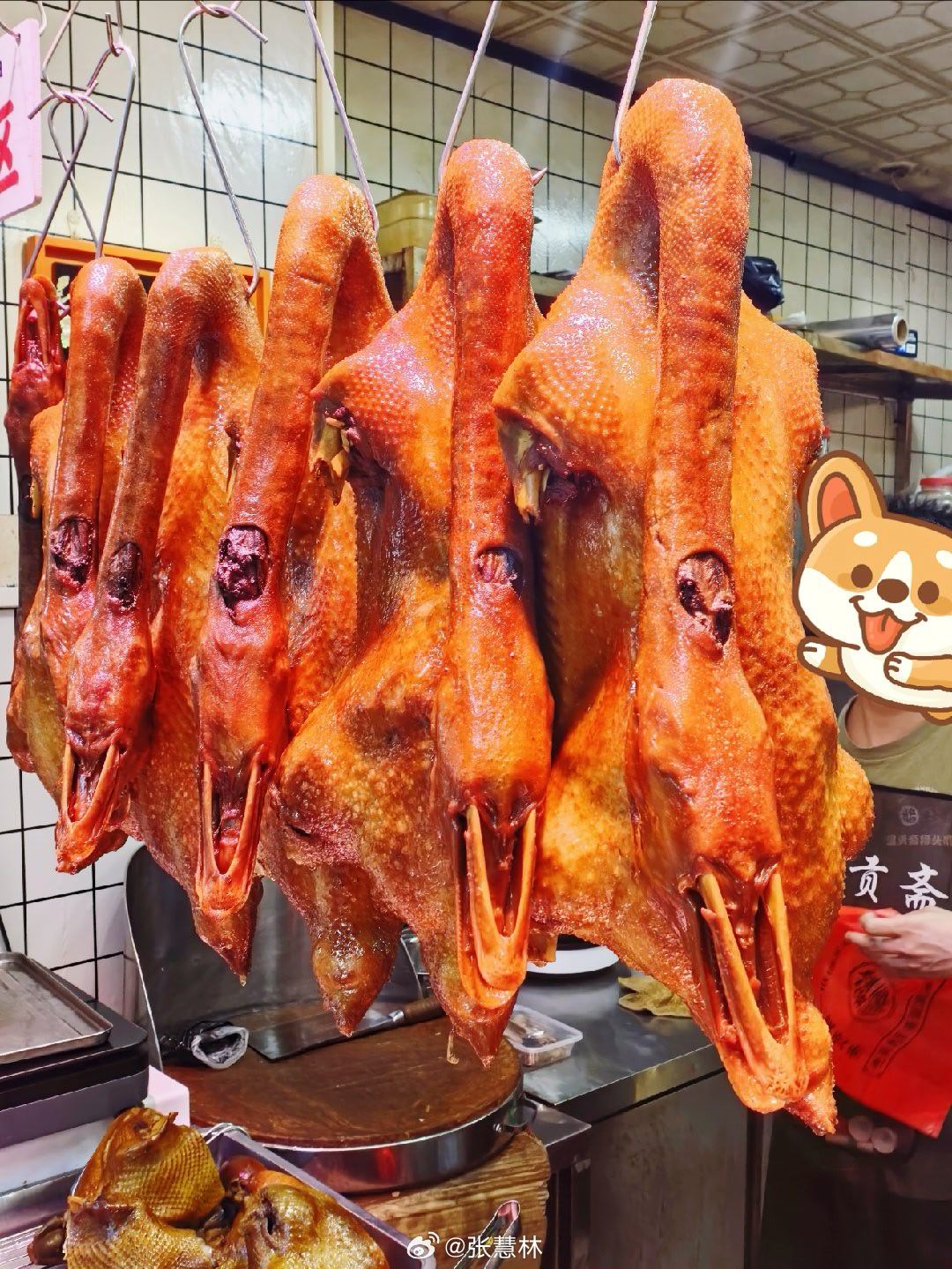 生活点滴品尝广东烧鹅…… ​​​