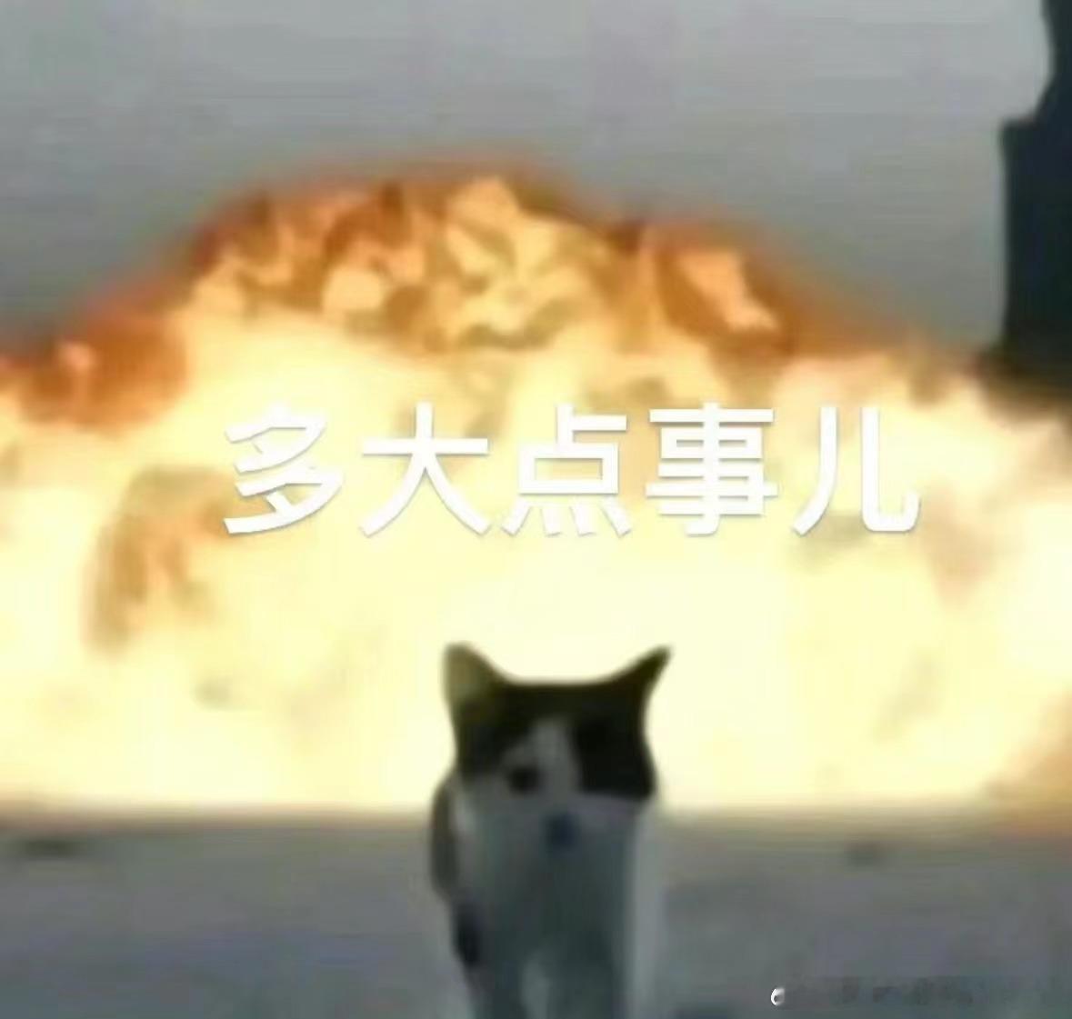 #一句话科普# 痣长在哪也是它的自由，并不是命运的暗示，但一些长得奇形怪状的痣是