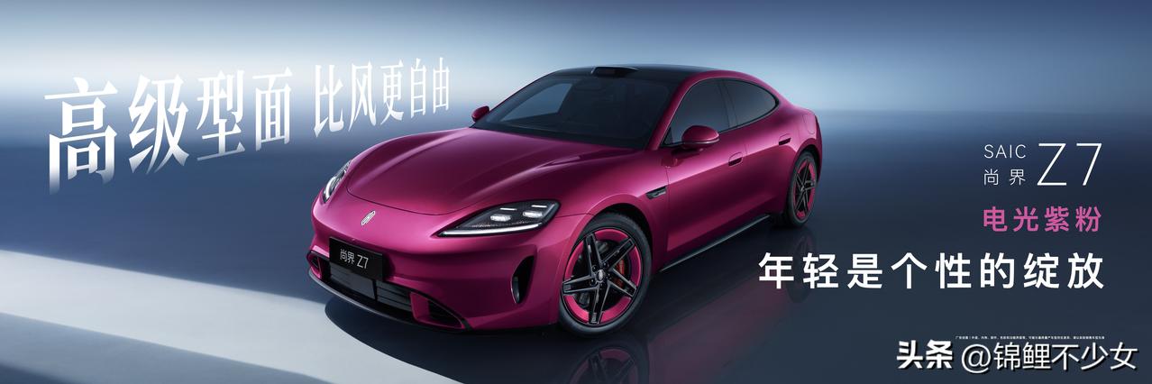 流畅车身+都市流光大灯，颜值拉满，个性直接拉满。
新色电光紫粉超吸睛，还有多款个