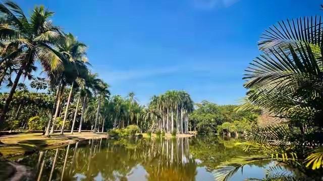 炸了！38年资深教师爆猛料：教育最坑的就是逼娃挤独木桥！

从教38年，送走无数