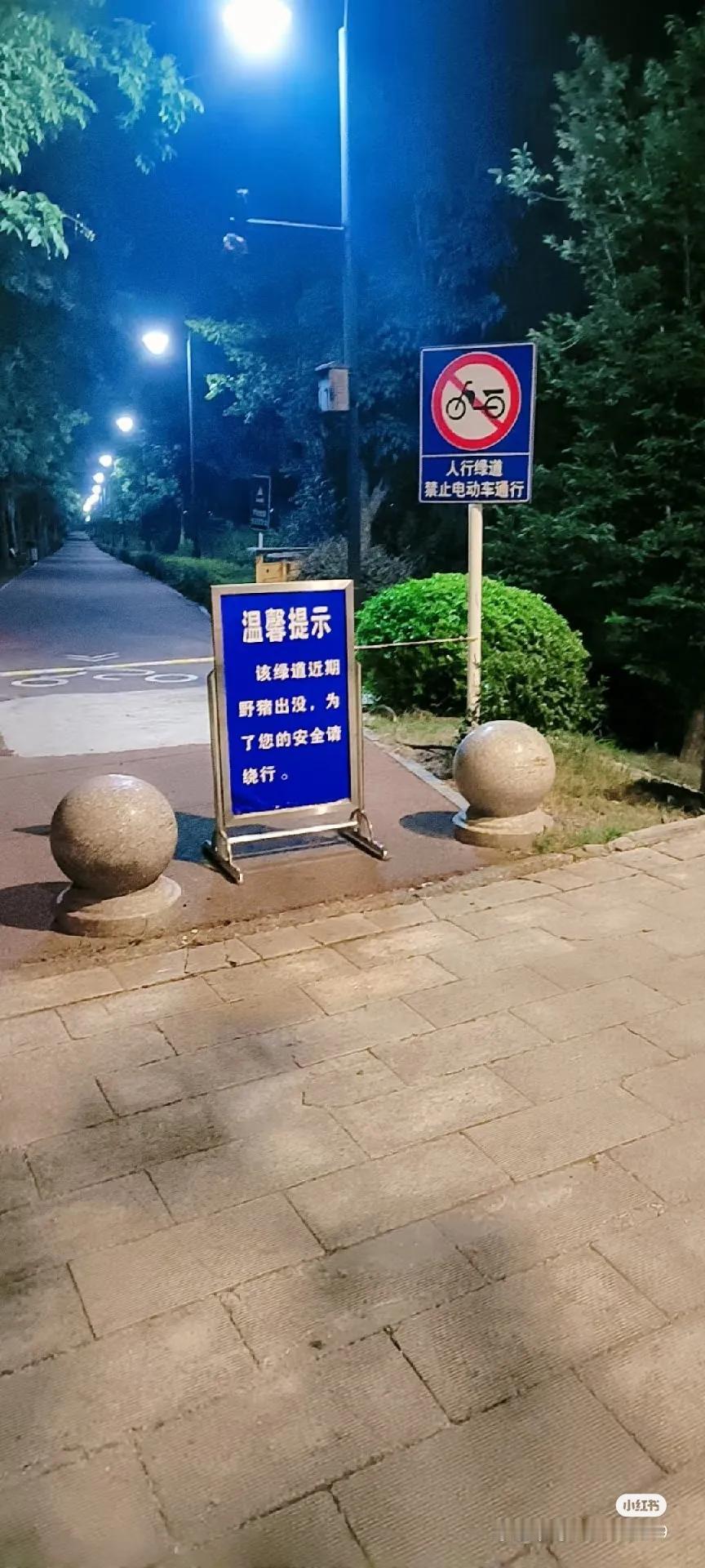 华科生态也是太好了[赞]听说华科一校门暂停开放了，原因不是放暑假而是最近这一带有