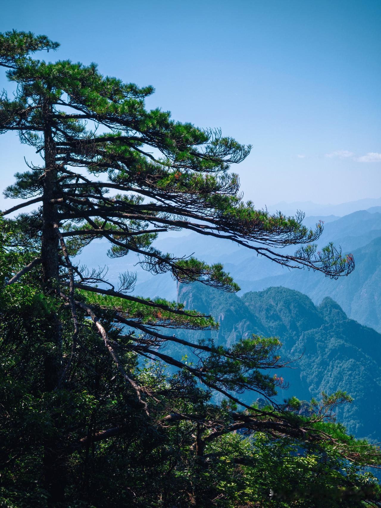 天天 Follow 天气预报的人就是能有好运~

在小红书上刷到了一大把的十一假
