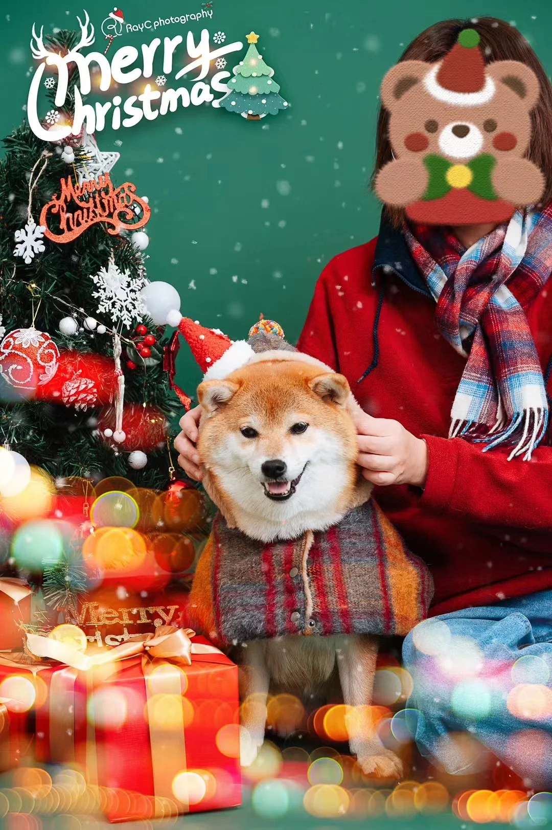 圣诞小狗季🎄