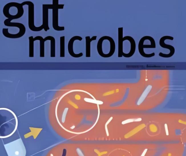 只需要注射一次，癌症完全缓解率100%！日本发现了一种新的抗癌方法，效果还出奇地