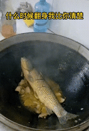 这是一条报恩鱼。🐟：什么时候翻身我比你清楚. 