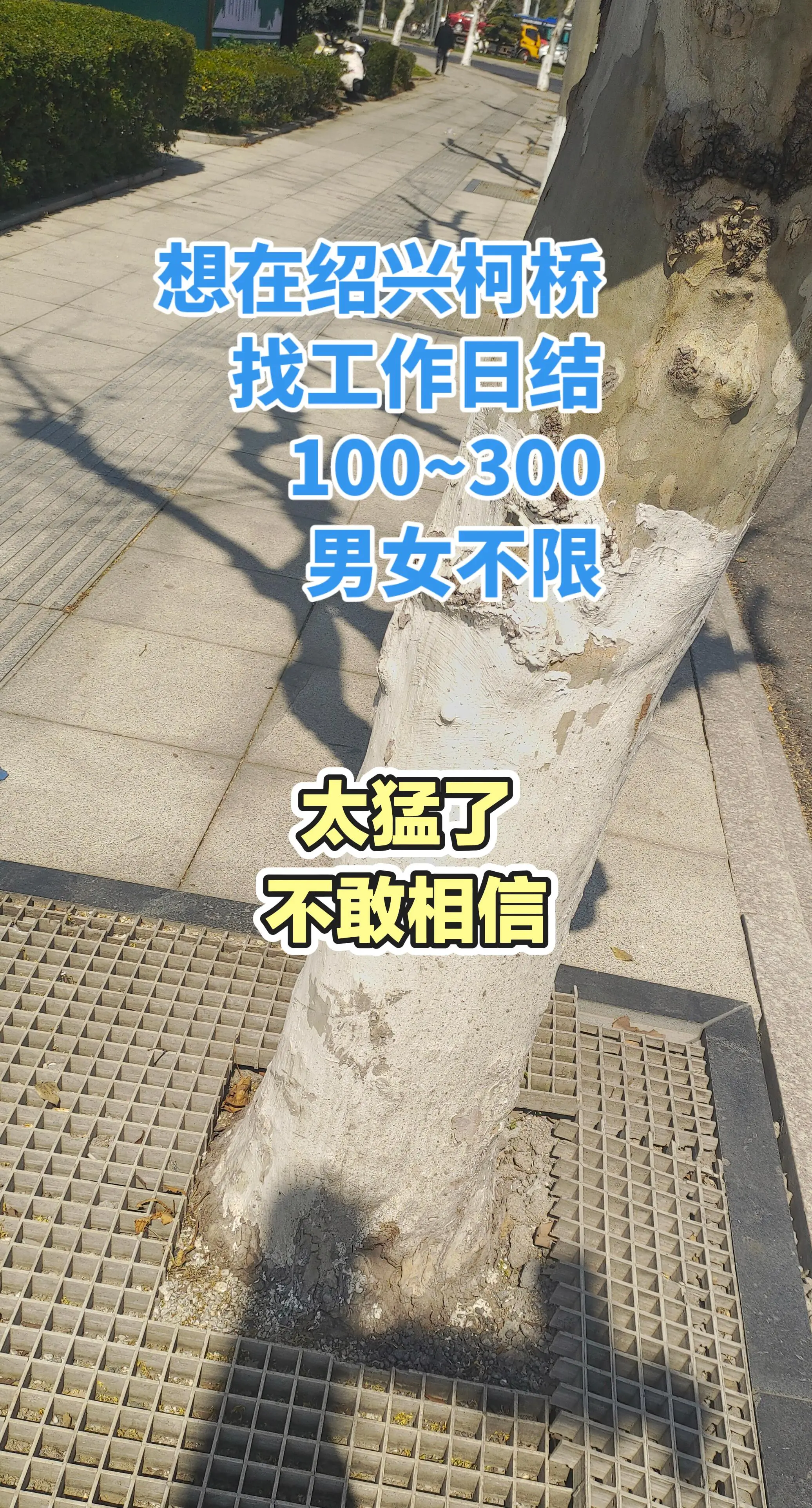分享有趣的视频
