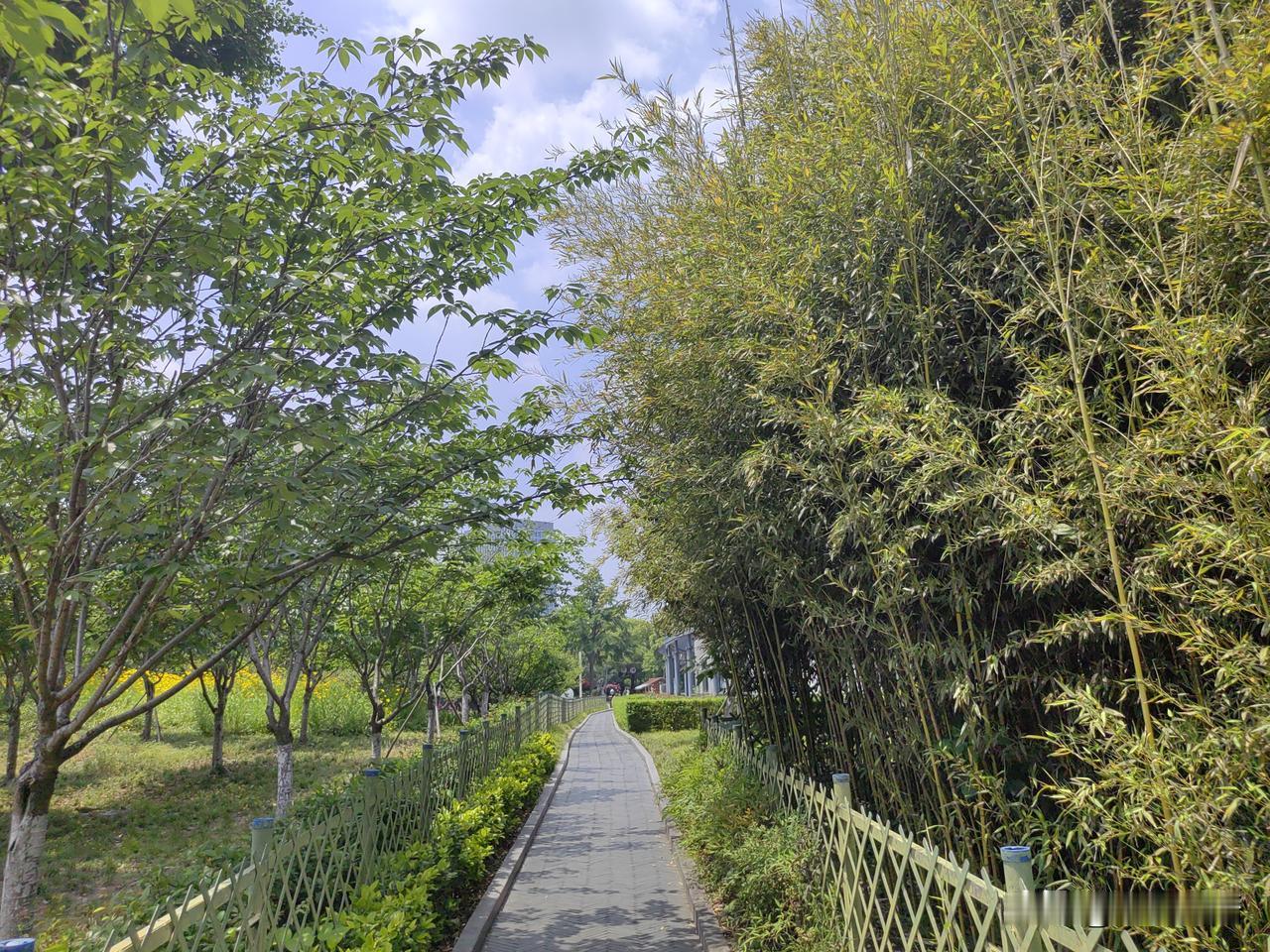 73岁大爷为女主播刷礼物，花费10多万元钱，女儿知道后崩溃大哭。

那声惨叫，把
