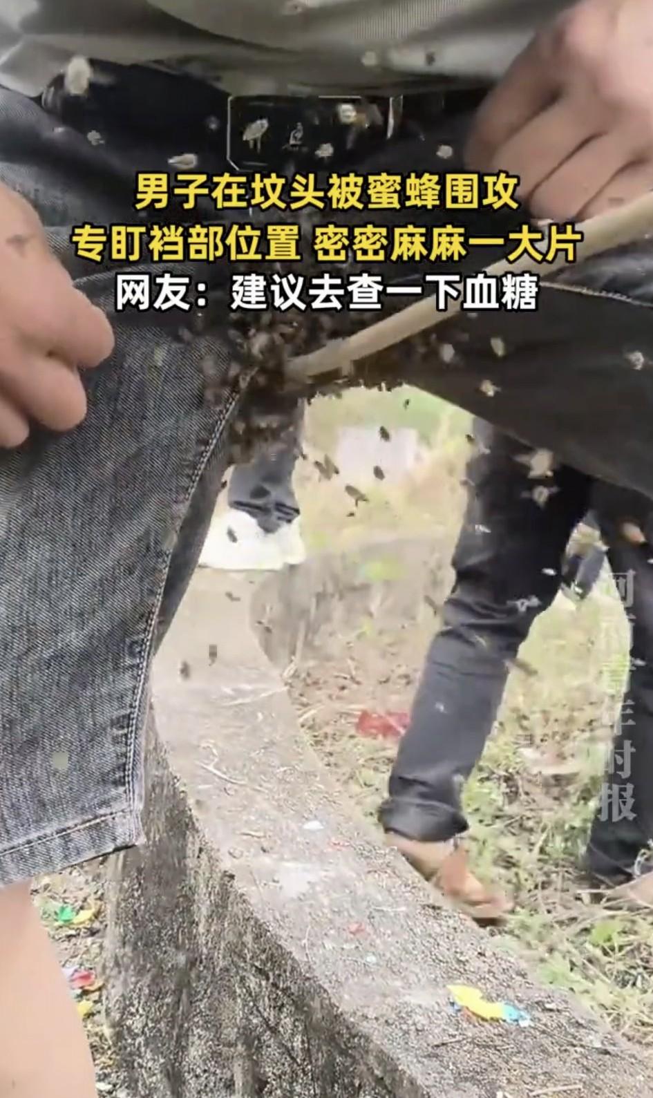 万万没有想到，陕西，一男子清明去给老祖宗上坟，不料来到坟头后竟被一群蜜蜂围攻，但