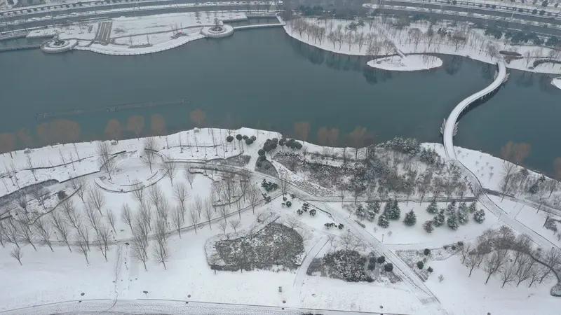 上央视了！河南，下雪天小车倒扣坠入水中。司机在车内拼命呼救，但无人听见。就在绝望