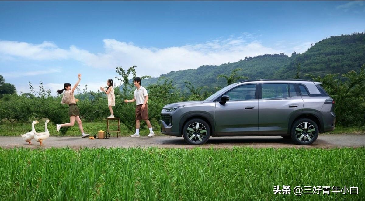 L2级智能驾驶辅助就像个贴心小保镖，全程守护行车安全。还有那360全景影像和54