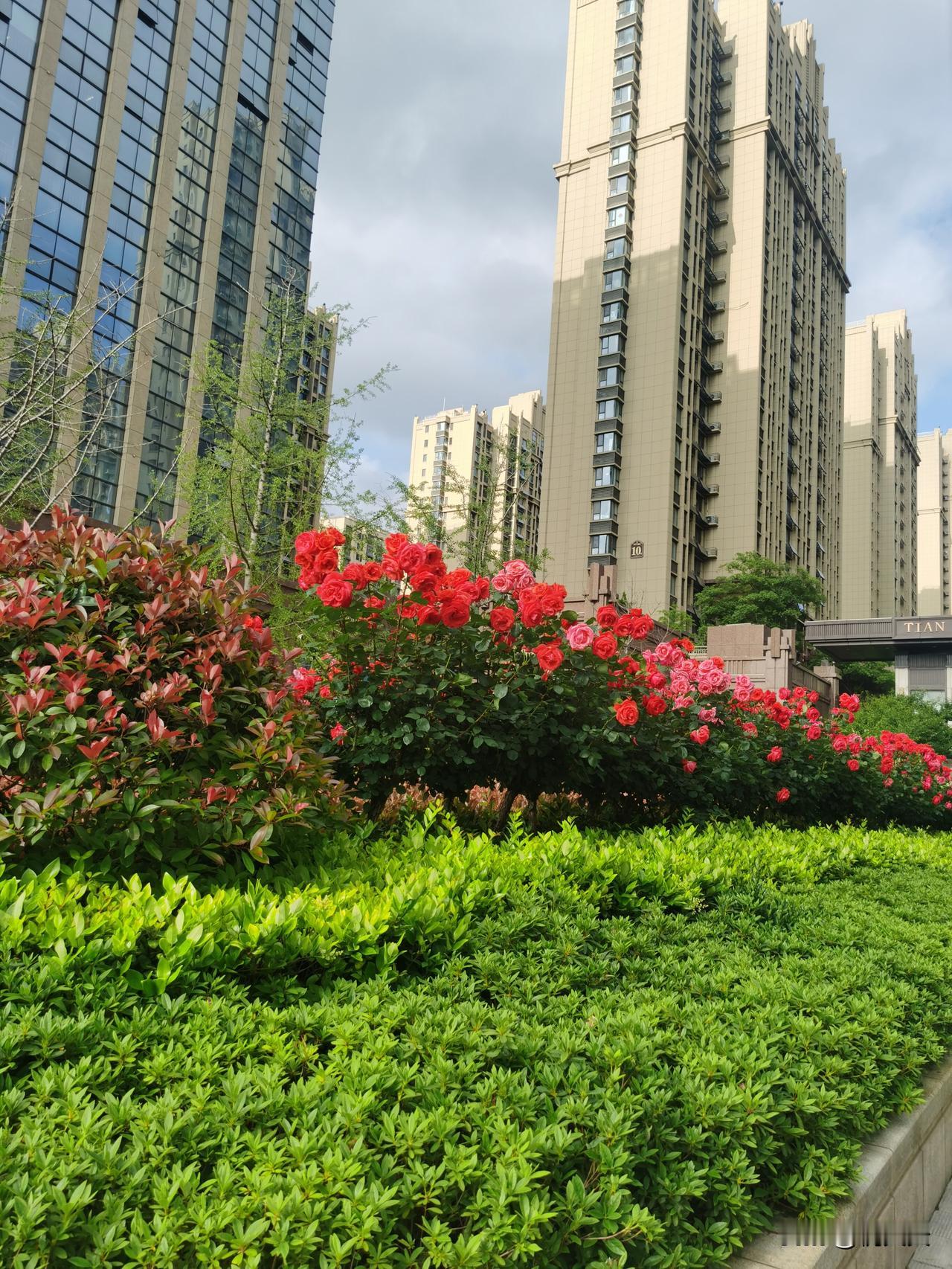 之前看了一个问题：镰刀为什么对着草地挥，而不是对着大树挥？

一个高赞的答案：草