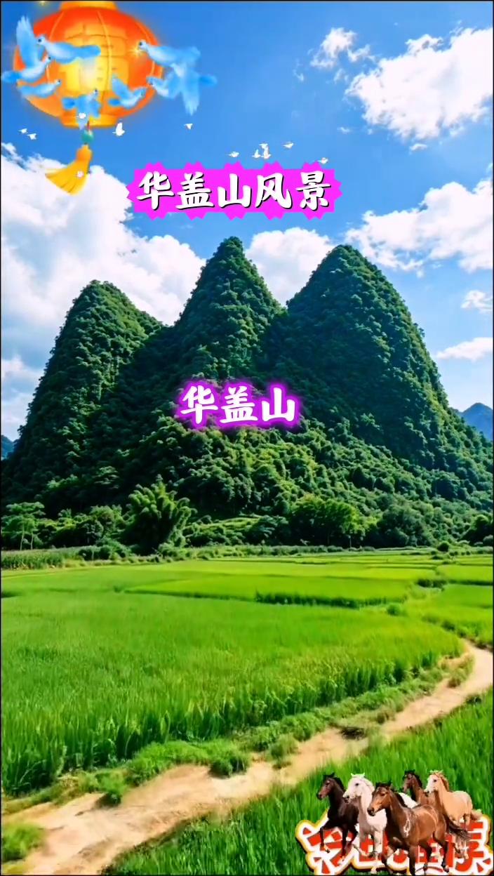 华盖山风景。
华盖山。