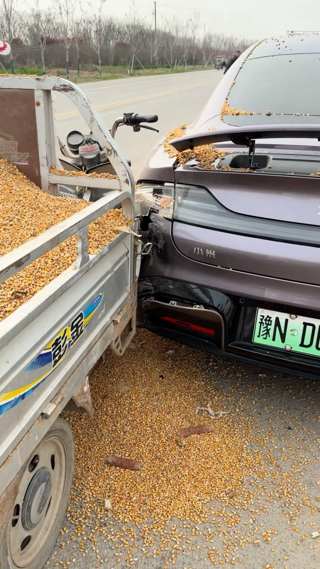 玉米撞上了小米 