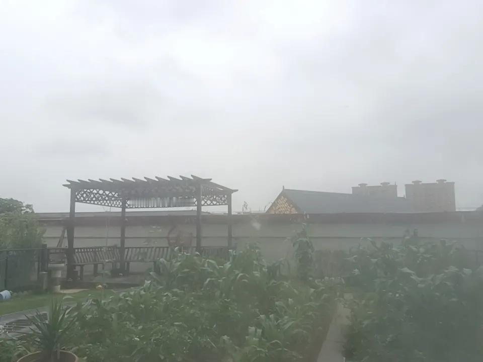 分享随手拍的景色