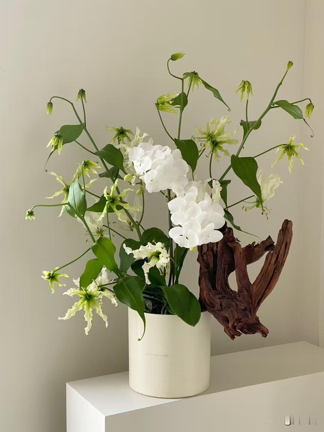 生活美学｜花艺之美
生活本是日复一日的寻常，
总要有片刻欢喜撑着，
让平凡日子也