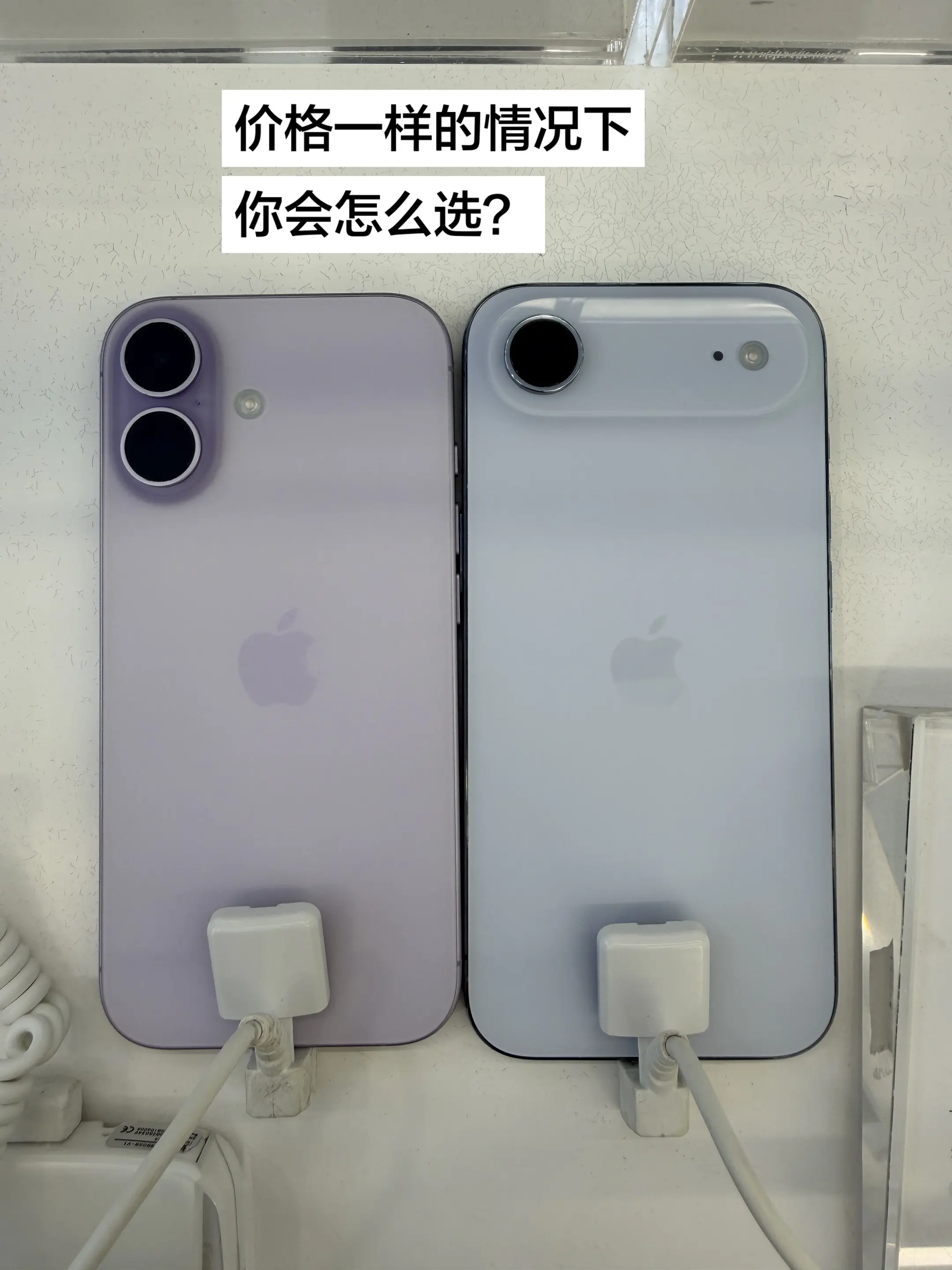 姐妹们，你们会怎么选？