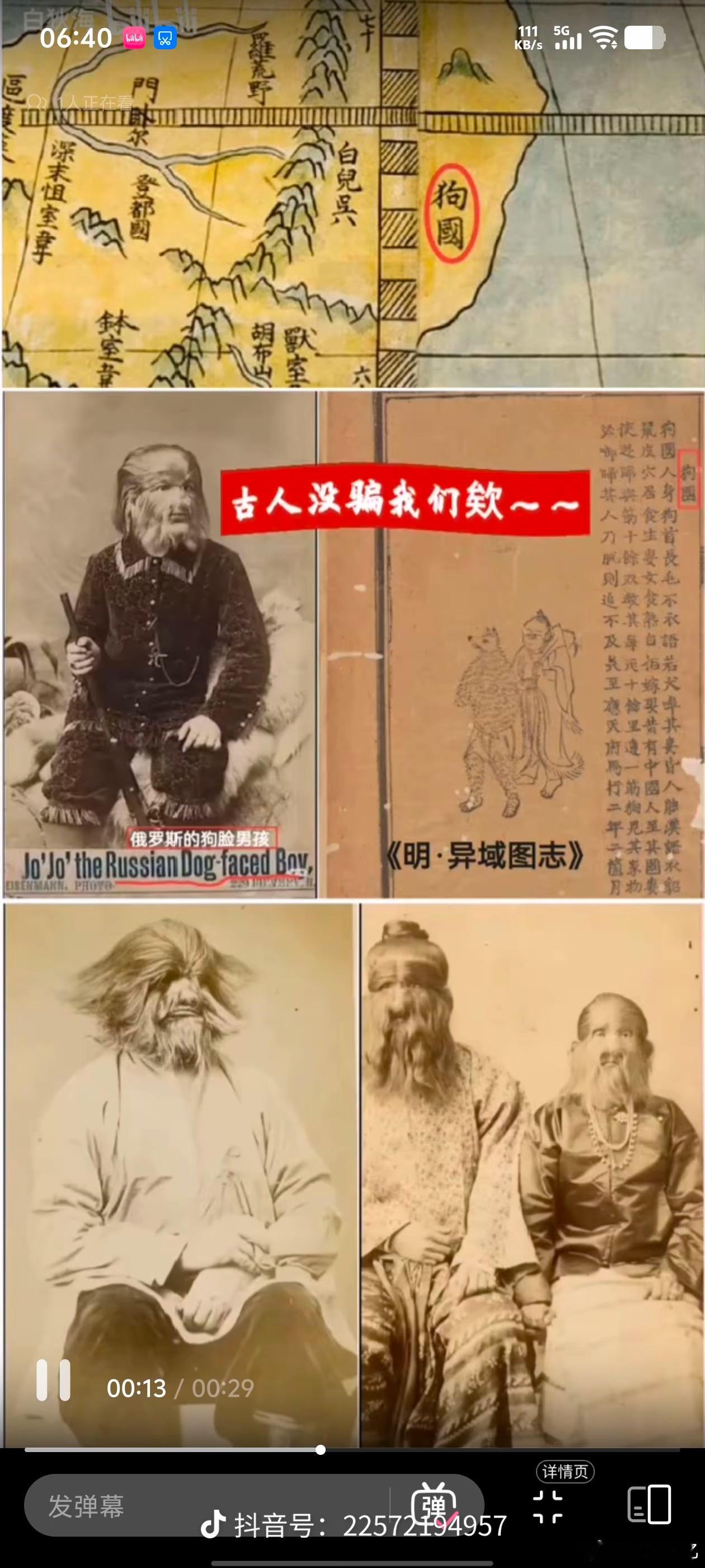 半兽人狗国 