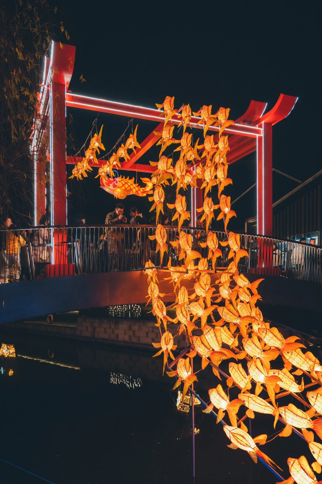 鱼跃龙门，嘉兴南湖的春节灯会🏮真的美极了！