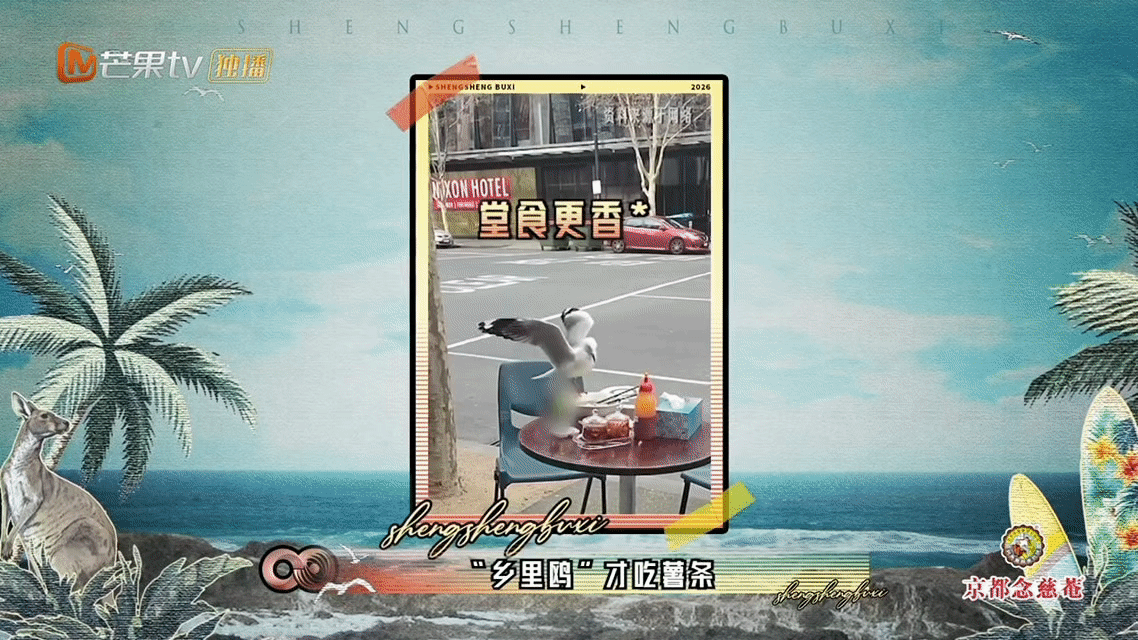 澳洲留学是真实版疯狂动物城 教学楼前孔雀走秀，厕所里青蛙视察，图书馆老鼠监工，海