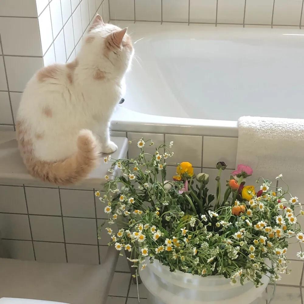 不要再去怨天尤人地抱怨自己的际遇，或者将自己的不幸怪罪到别人身上。你是选择到处充