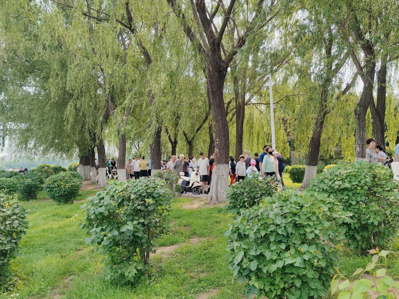 入伏后你会选择去哪里避暑夏日入伏后天气闷热，水边、树下可乘凉，公园也是不错的选择