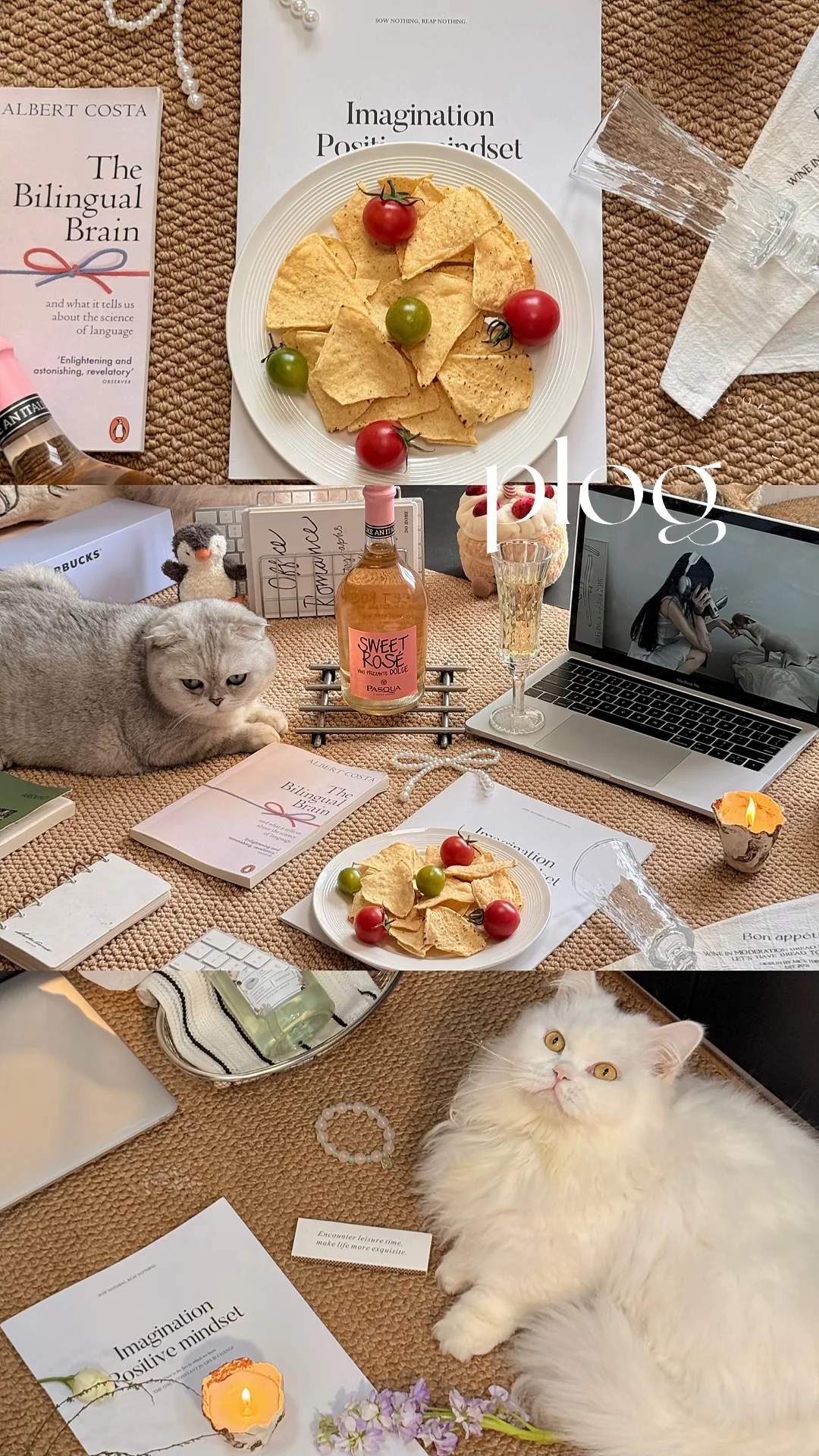 My life|独居快乐指南👧🐈🐱