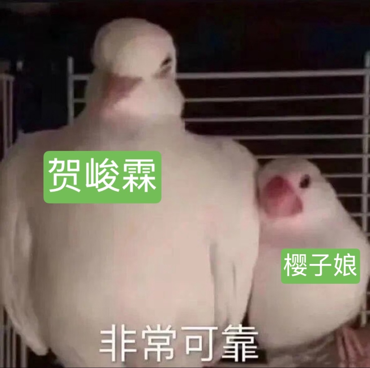 刘冲邀请贺峻霖的原因天晓得我有多骄傲贺峻霖走的每一步都算数 贺峻霖VOGUE晚宴