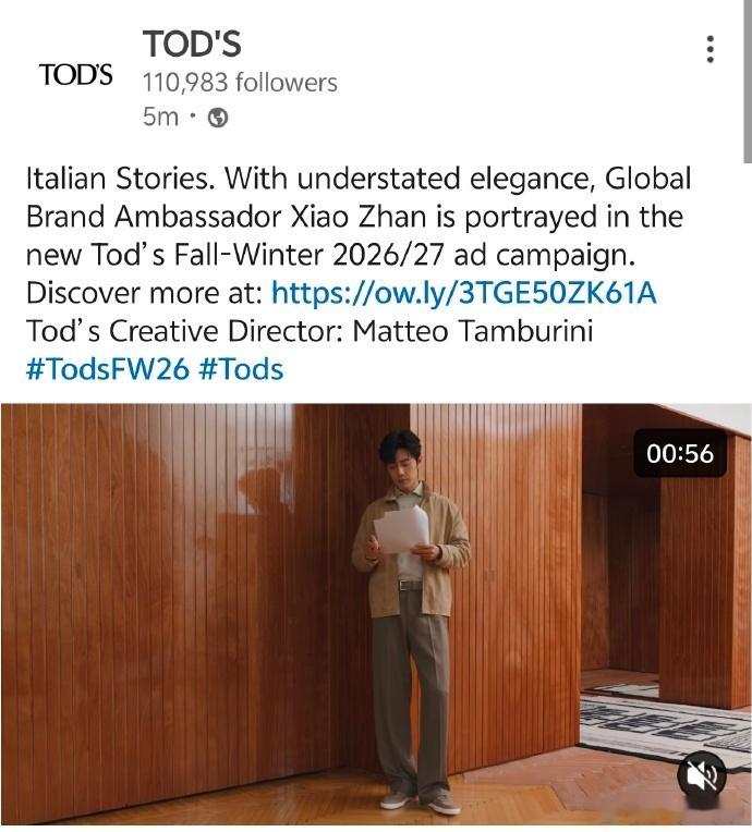 肖战温柔儒雅的人夫感肖战TODS秋冬动态大片高级感拉满，动态镜头放大身上温润特质