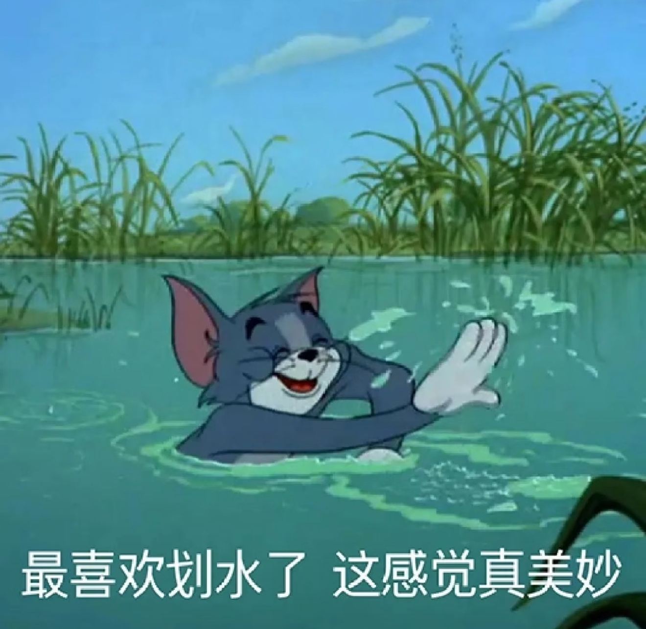谁不是边盼周末，边用摸鱼续命呢？[doge]今天周五，上班就像按了快进键已经到达