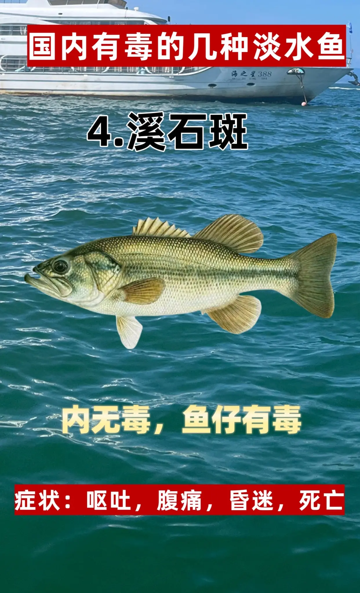 有毒的鱼。喜欢钓鱼的注意了⚠️这几种淡水鱼有毒你们知道多少呢？记得收藏注意安全哦