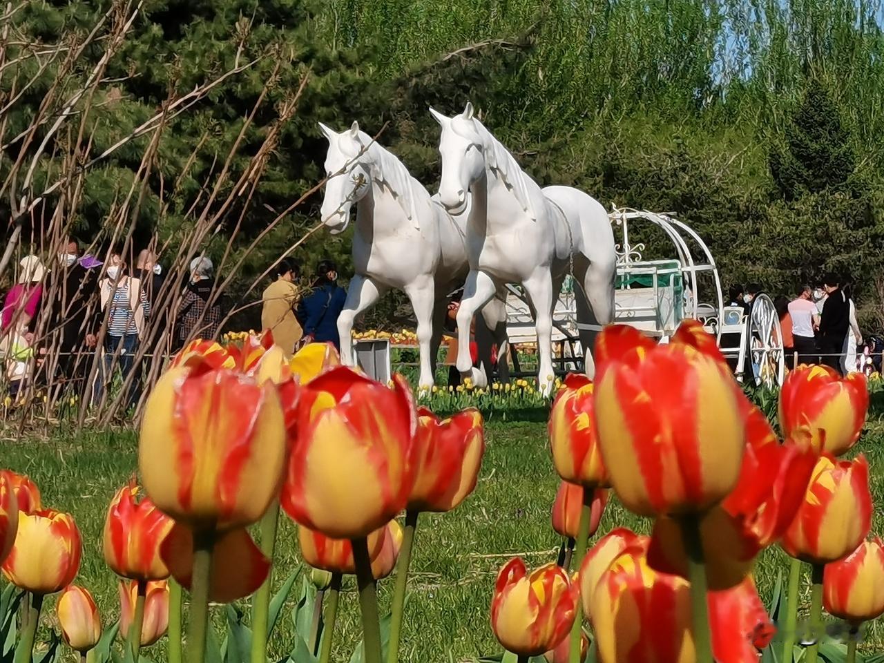 陪伴不是日历上的圈注，而是心跳间留白的回响。用心编织的时光，终会成为记忆里最柔韧