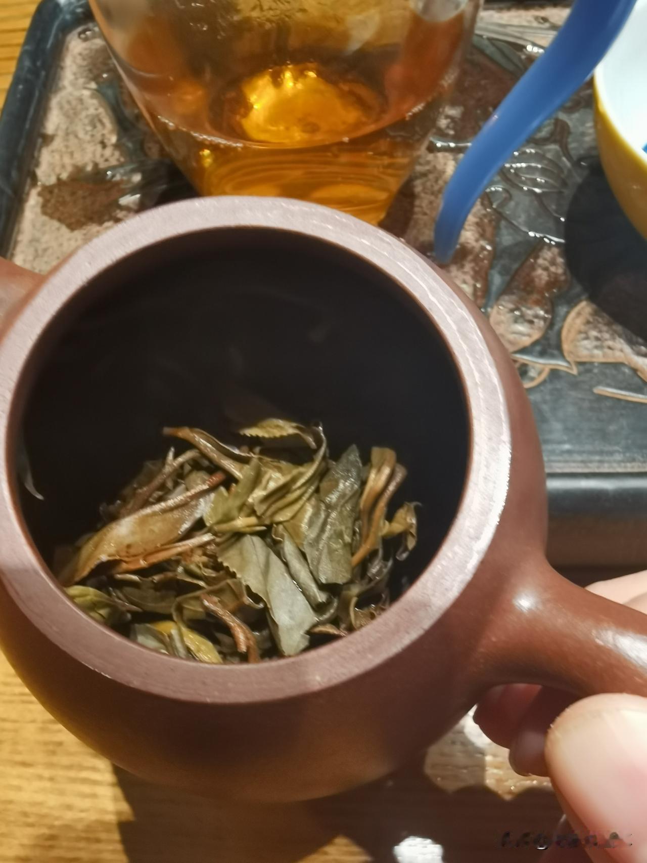 现在不管是茶城的茶叶店，或者街边的茶叶店，都是门可罗雀，鲜有人问津鲜。但有一个奇