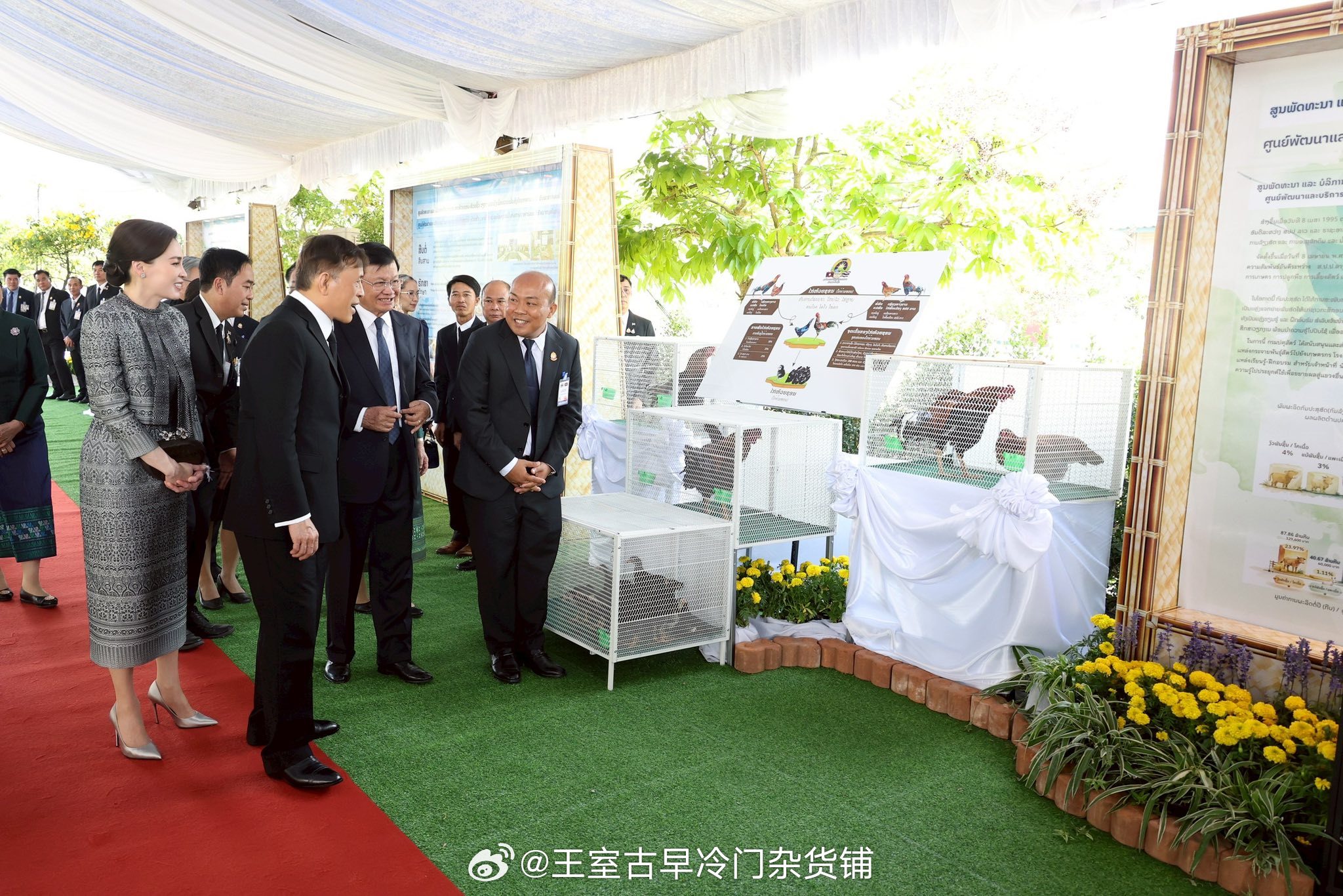 王室王室泰国王室素娘娘 2026年3月18日，狗哥素娘娘参观老挝的农业发展中心。