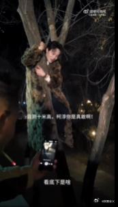 柯淳 抽象  柯淳的抽象内在和帅气外在完美融合，无论是戏里的段休冥还是戏外的他，