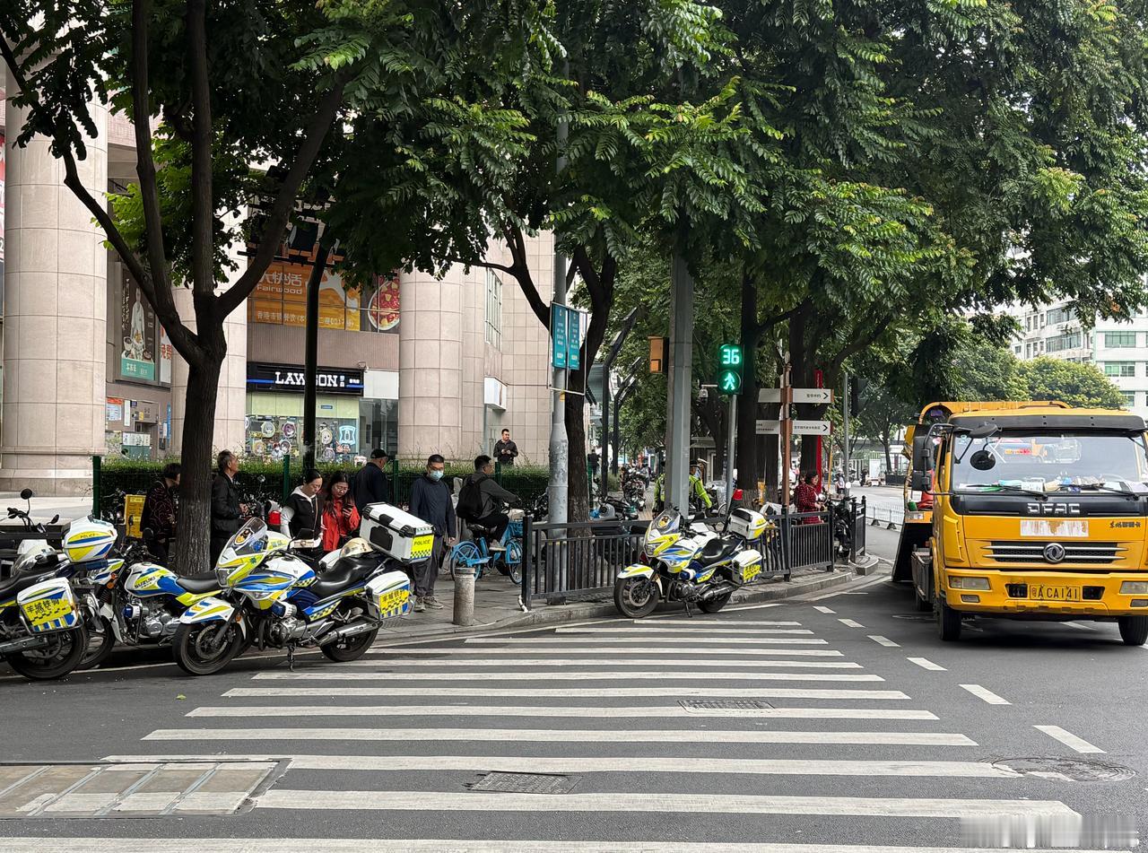 恒宝一早捉电鸡啦，交警话无牌，违章三次以上不处理的，都要拖走！