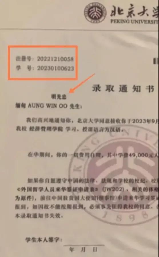 美国向国际刑警组织发起呼吁，将活跃在缅甸北部的诈骗团伙定性为国际犯罪集团。这个团