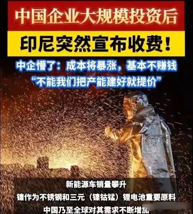 中国花140亿美元帮印尼建成全球镍都，印尼反手涨价，第二天跟日本签了军火协议。别