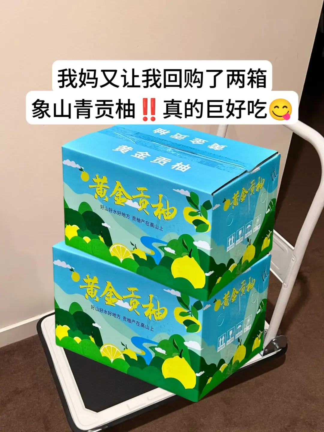 姐妹们，我挖到了一款宝藏水果，快来尝尝鲜哟！就是这个象山青柑橘真的太太...