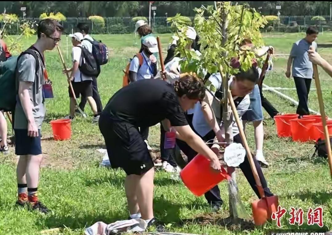 美国42名初中生来中国研学，本来进行文化交流是一件值得高兴的事，可是学校组织却变