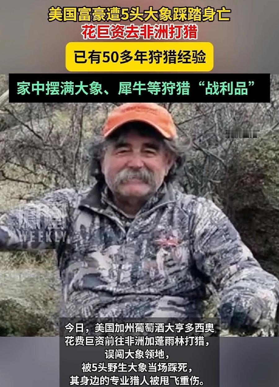 美国75岁富豪被5头大象踩死，肯定都成肉泥了，从小就喜欢狩猎，长期狩猎就有50多